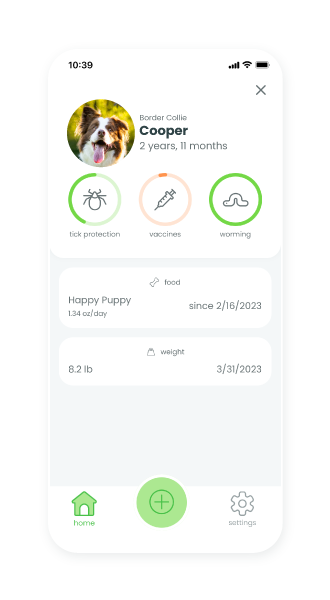 Smartphone, das ein Dashboard mit Gesundheitsinformationen eines Hundes anzeigt